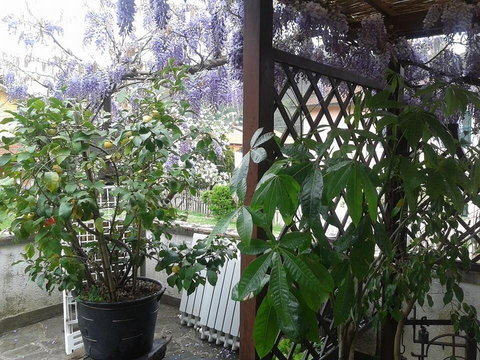 Il Ghiro B&B Riccò del Golfo di Spezia Exterior foto