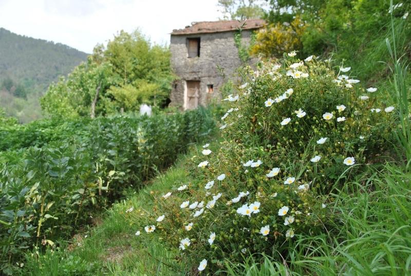 Il Ghiro B&B Riccò del Golfo di Spezia Exterior foto