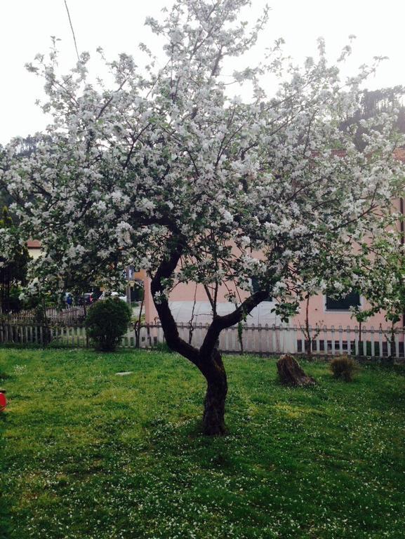 Il Ghiro B&B Riccò del Golfo di Spezia Exterior foto